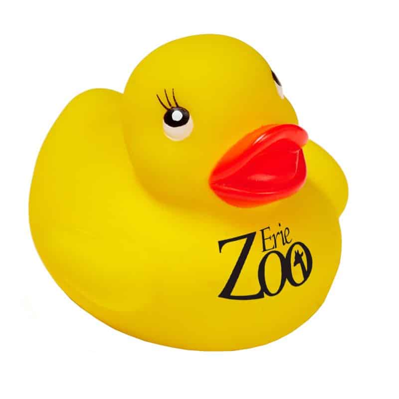 2" Colorful Rubber Ducks - 2
