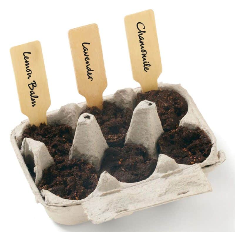 Create Your Own Zen Kit - 1