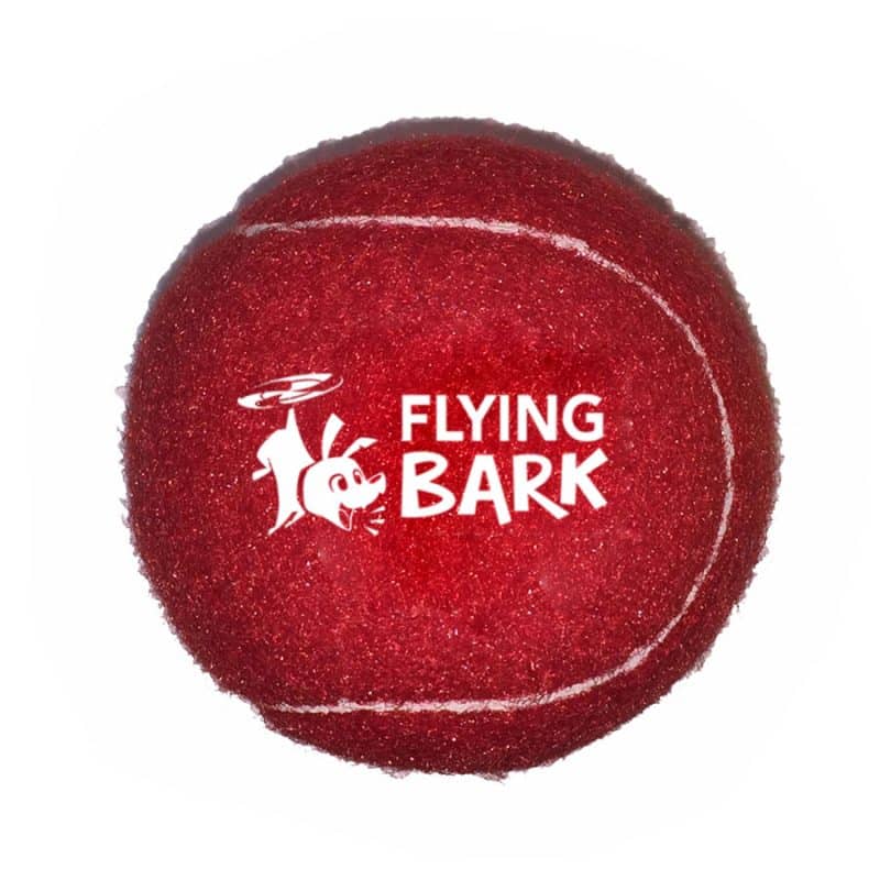 Fido's Dog Ball - 2