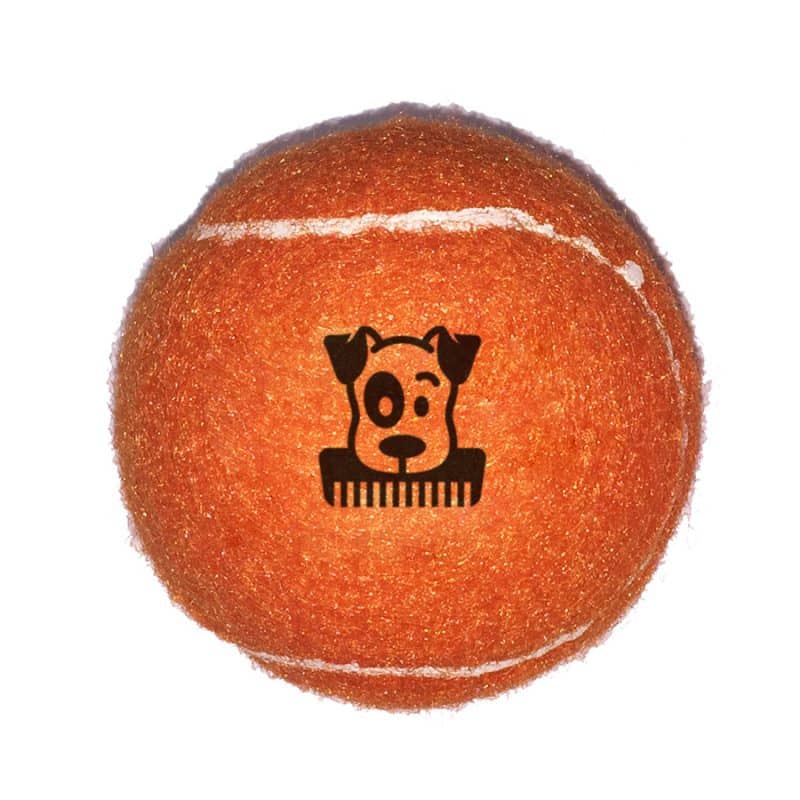 Fido's Dog Ball - 3