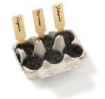 Grow Your Own Pepper Garden Kit - 1