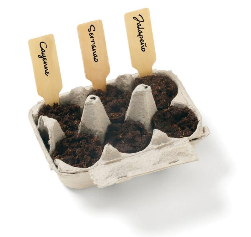 Grow Your Own Pepper Garden Kit - 1