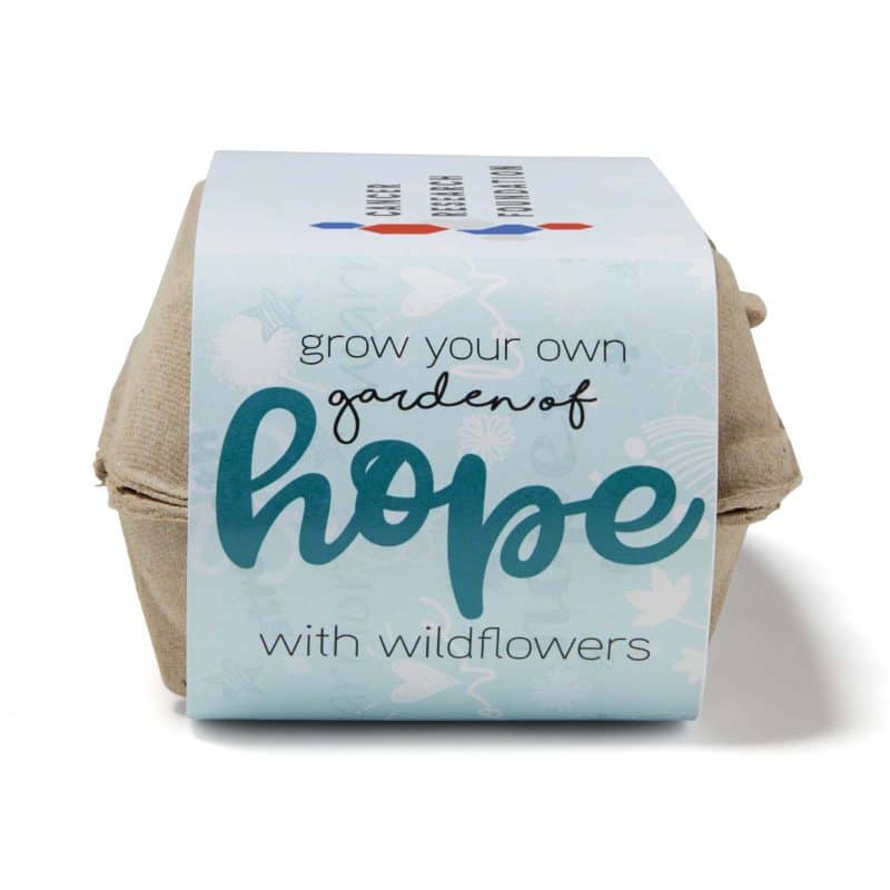 Blue Grow Your Own Garden of Hope Kit (Teal) - 4