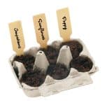 Blue Grow Your Own Garden of Hope Kit (Teal) - 6