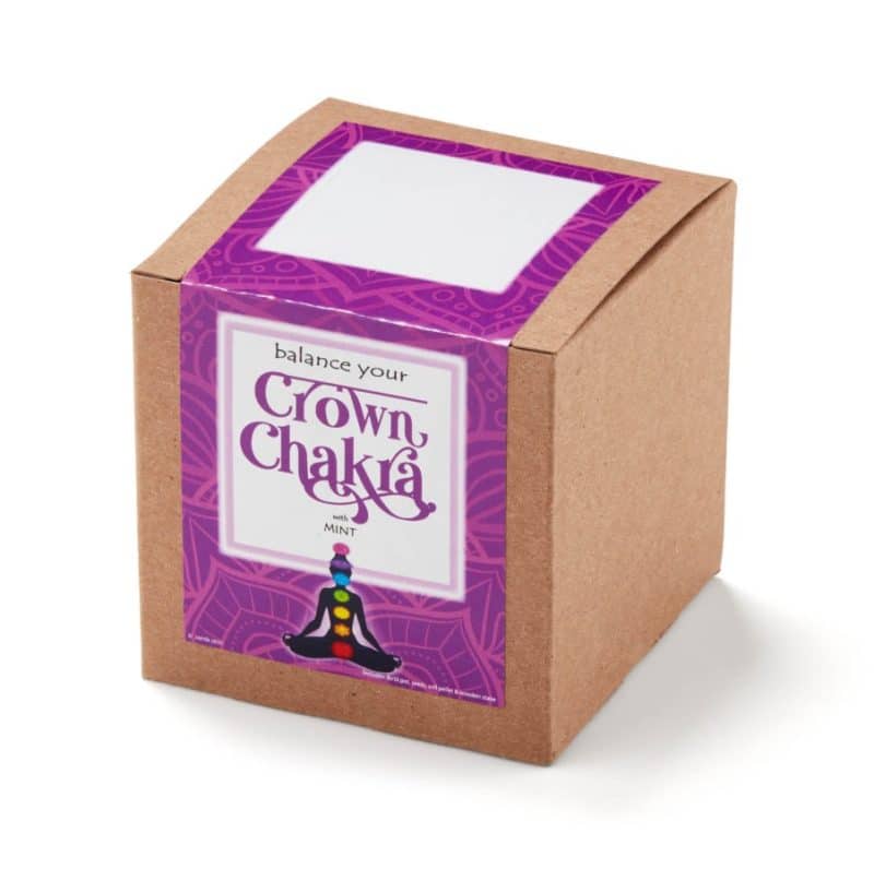 Crown Chakra Growable Planter In Kraft Gift Box - 1