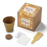 Garden of Hope Planter in Kraft Gift Box (Orange)