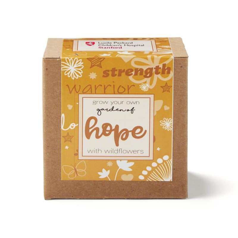 Garden of Hope Planter in Kraft Gift Box (Orange) - 2