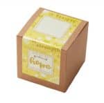 Garden of Hope Planter in Kraft Gift Box (Yellow) - 1
