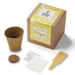 Garden of Hope Planter in Kraft Gift Box (Yellow)