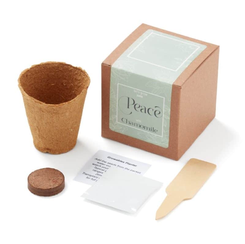 Grow Some Peace Planter in Gift Box - 1