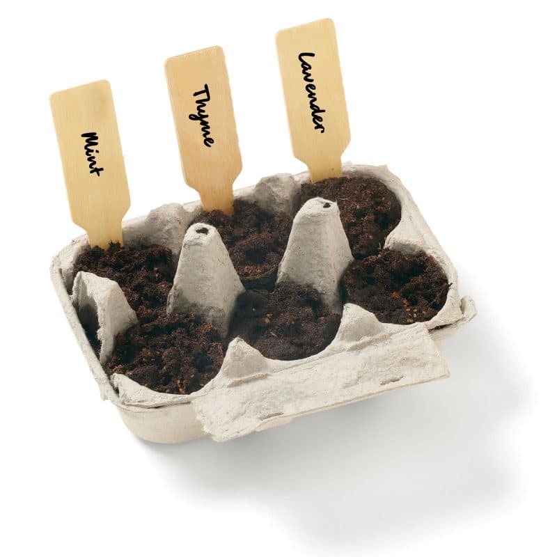 Grow Your Own Cocktail Herb Garden Kit w/Seeds - 2