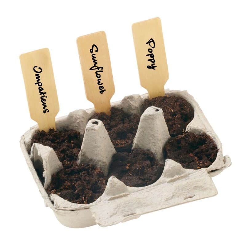 Grow Your Own Garden of Hope Kit (Purple) - 4
