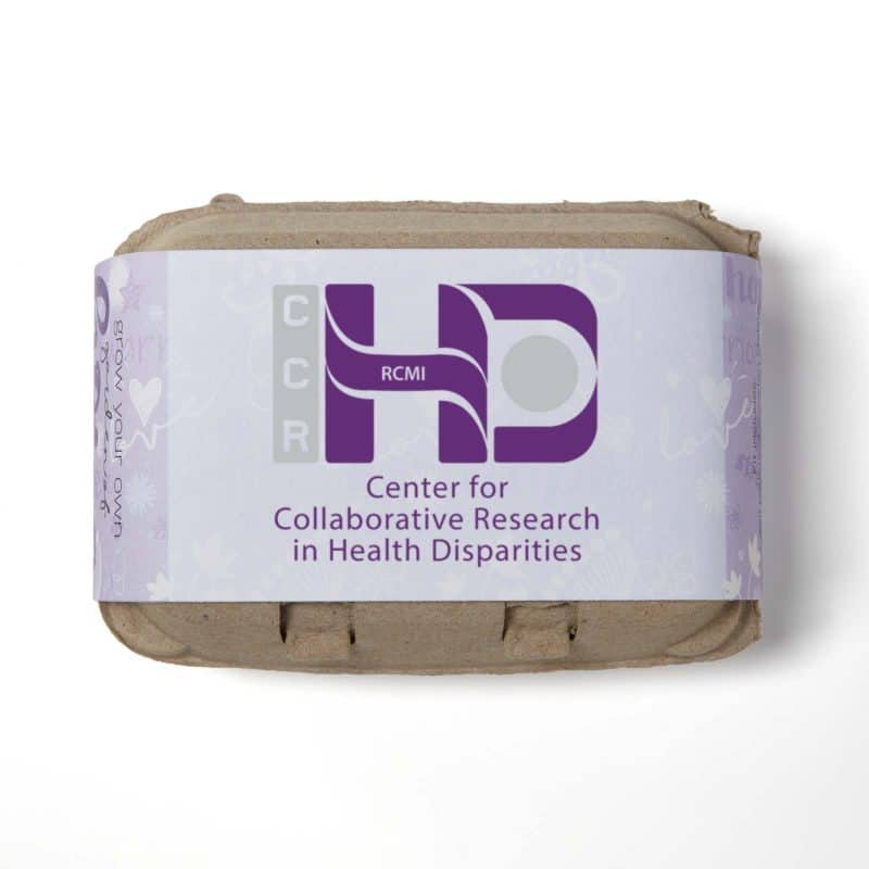 Grow Your Own Garden of Hope Kit (Purple) - 5