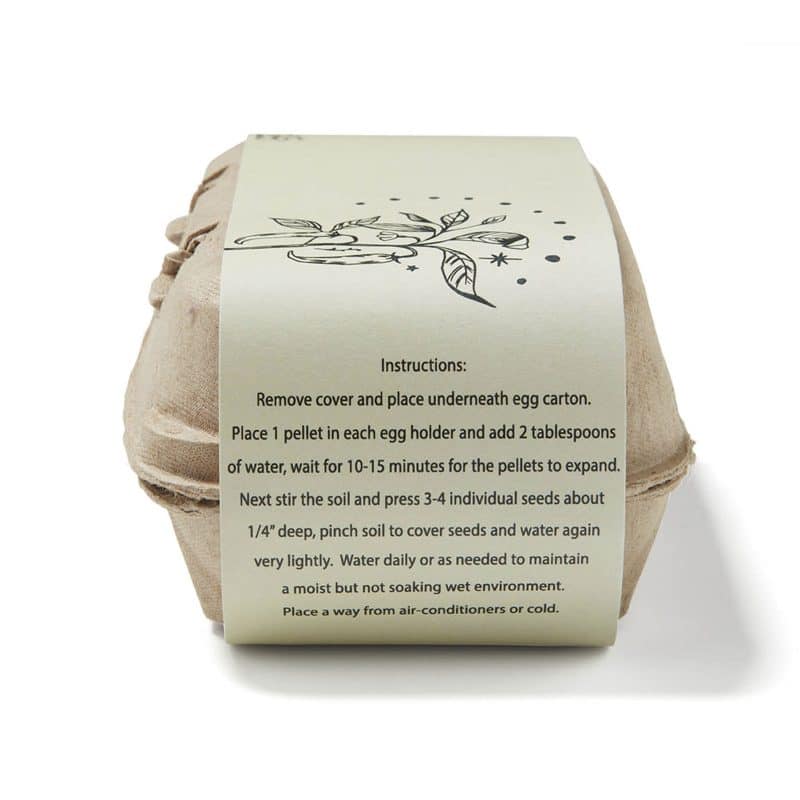 Grow Your Own Pepper Garden Kit - 4