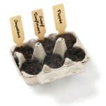 Grow Your Own Wildflower Garden Kit w/Seeds - 4