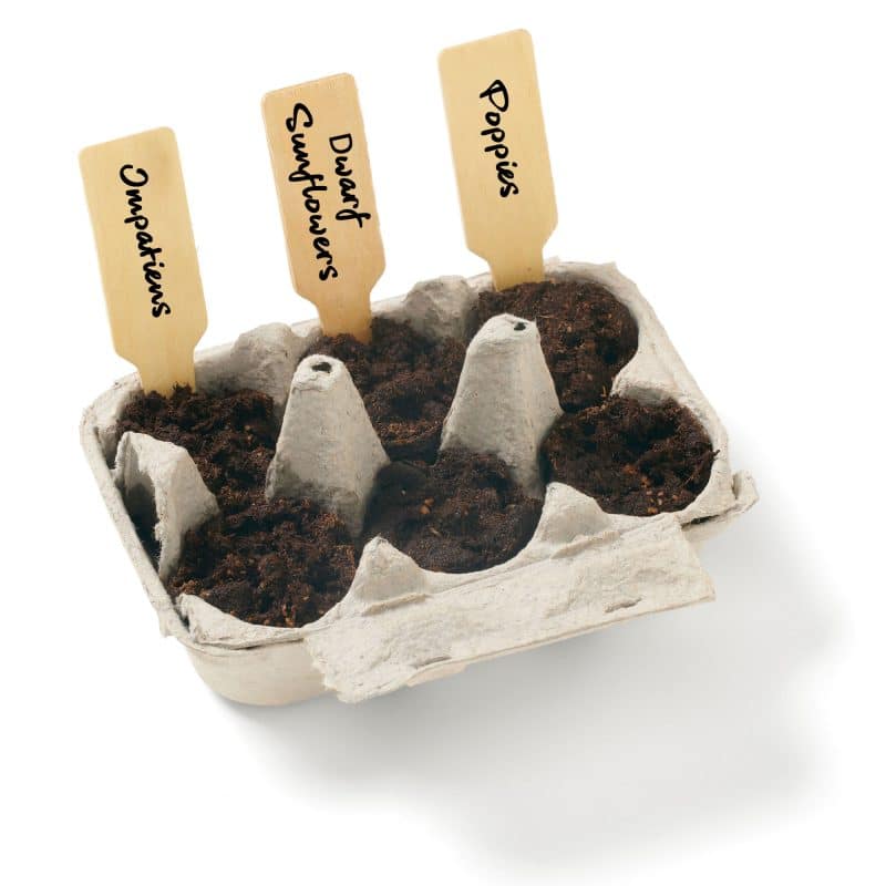 Grow Your Own Wildflower Garden Kit w/Seeds - 4