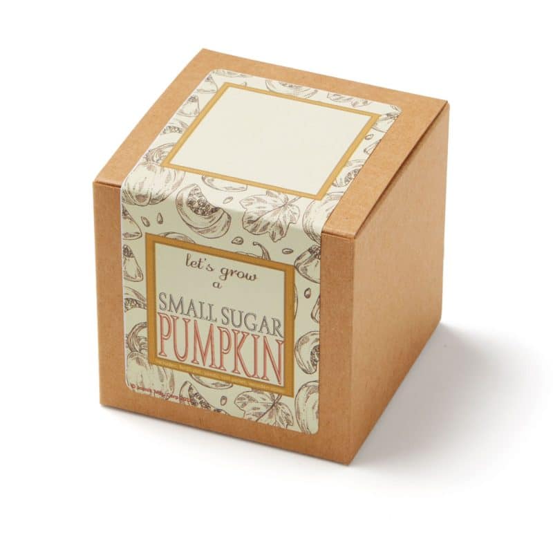 Growables Planter Pot in Kraft Gift Box w/Seeds (Small Sugar Pumpkin) - 1