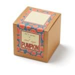 Growables Planter Pot in Kraft Gift Box w/Seeds (Small Sugar Pumpkin) - 2
