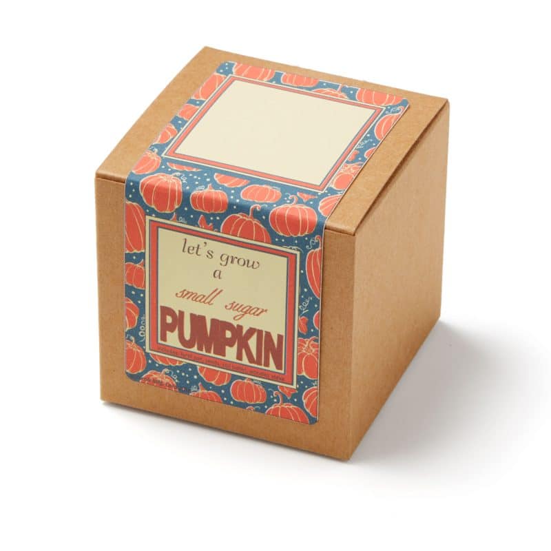 Growables Planter Pot in Kraft Gift Box w/Seeds (Small Sugar Pumpkin) - 2