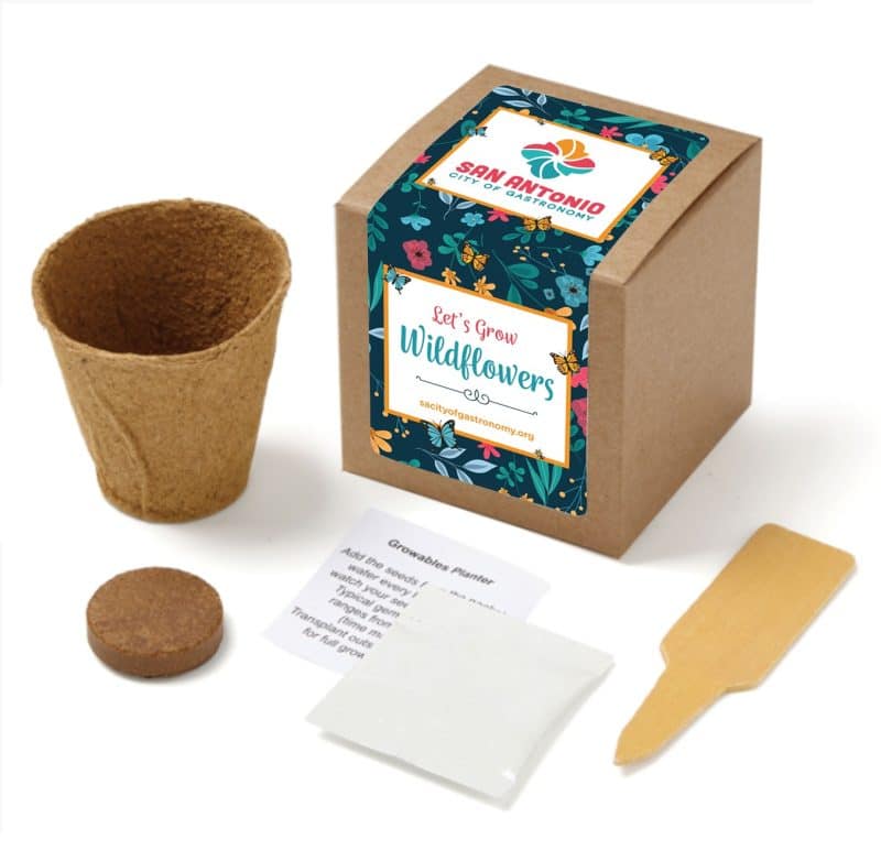 Growables Planter in Kraft Gift Box (Custom) - 2