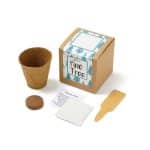 Growables Planter in Kraft Gift Box (Pine Tree) - 1