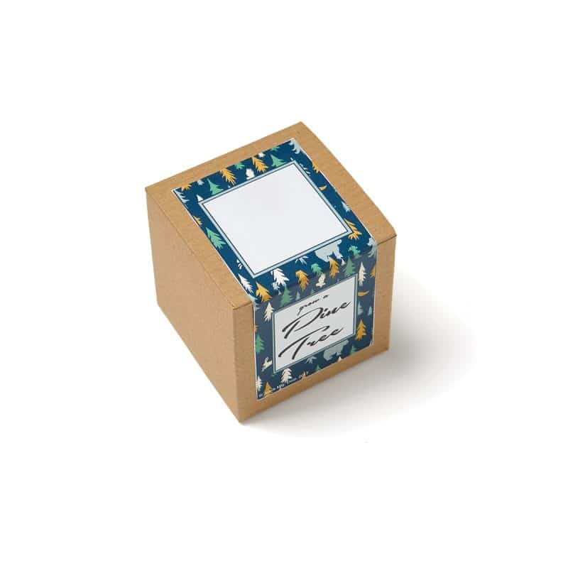 Growables Planter in Kraft Gift Box (Pine Tree) - 2