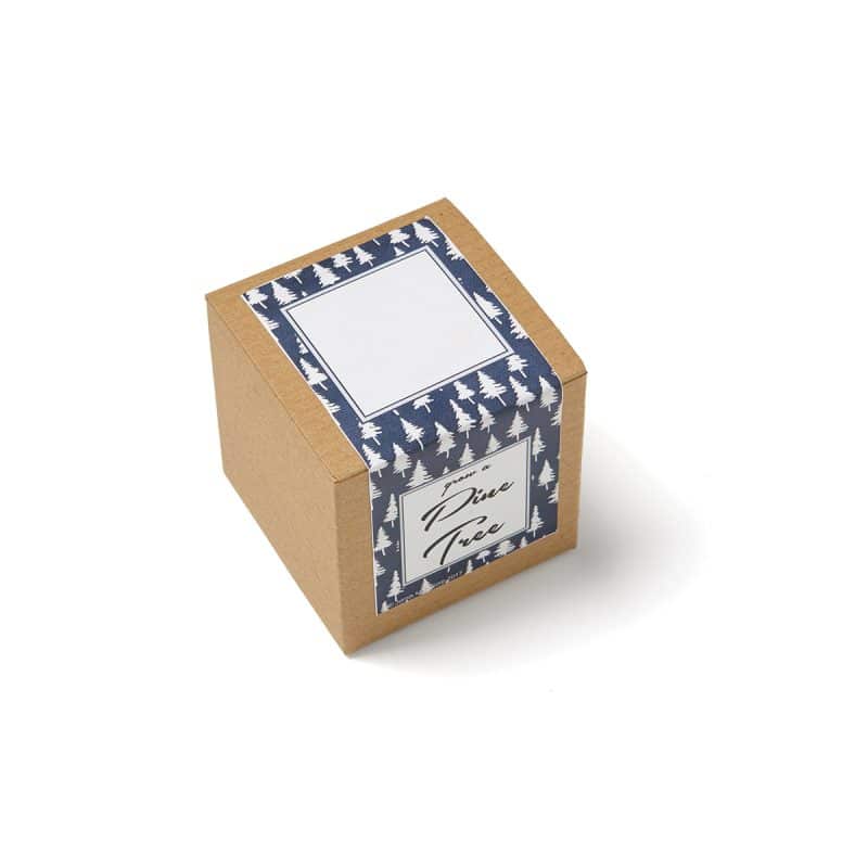Growables Planter in Kraft Gift Box (Pine Tree) - 3