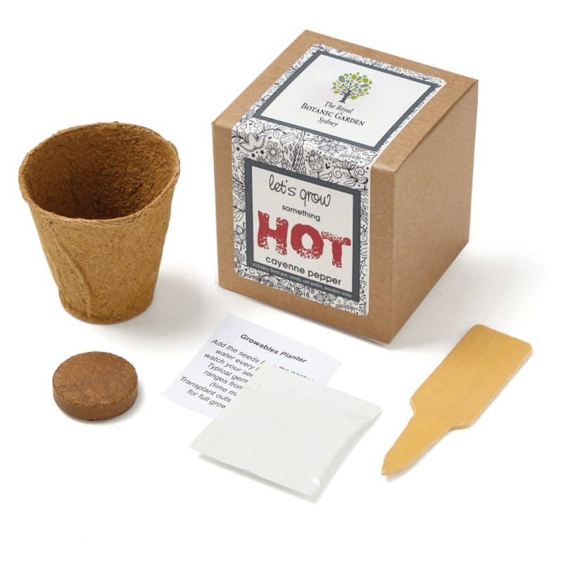 Growables Planter in Kraft Gift Box w/Seeds (Cayenne Peppers)