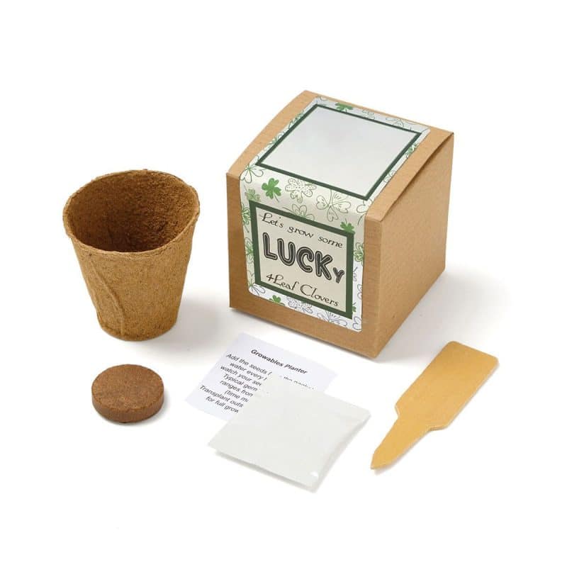 Growables Planter in Kraft Gift Box w/Seeds (Lucky 4 Leaf Clover) - 1