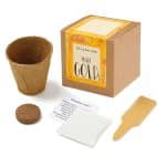 Growables Planter in Kraft Gift Box w/Seeds (Marigold) - 1