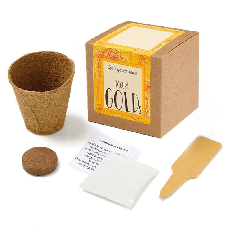 Growables Planter in Kraft Gift Box w/Seeds (Marigold) - 1