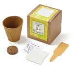 Growables Planter in Kraft Gift Box w/Seeds (Sunflowers) - 1