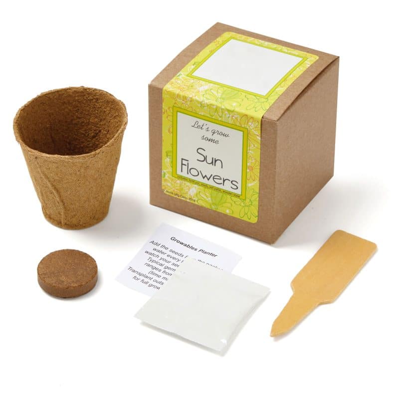 Growables Planter in Kraft Gift Box w/Seeds (Sunflowers) - 1
