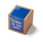 Inspirational Celebrate Good Thymes Planter in Kraft Gift Box - 1
