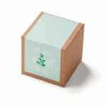 Inspirational Mint to Be Planter in Kraft Gift Box - 1