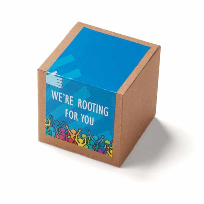 Inspirational Rooting for You Planter in Kraft Gift Box - 1