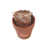 Seed Sensations Terracotta Pot w/Holiday Wrapper - 2