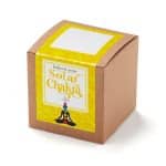 Solar Chakra Growable in Kraft Gift Box - 1