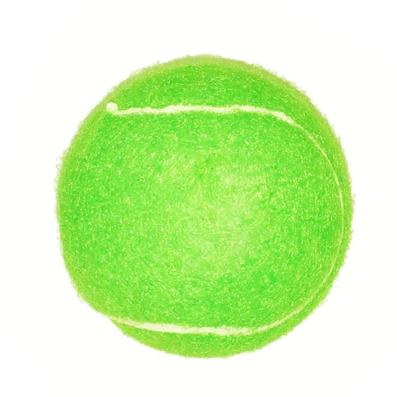 Fido's Dog Ball - 9