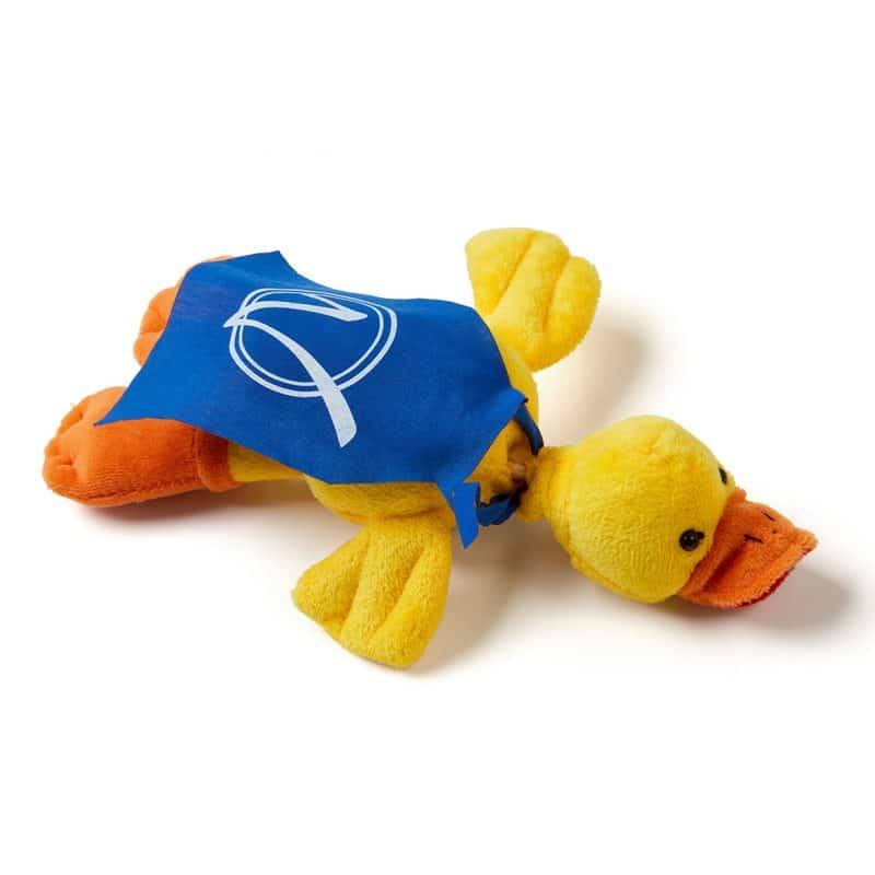 Flying Quacking Duck - 4